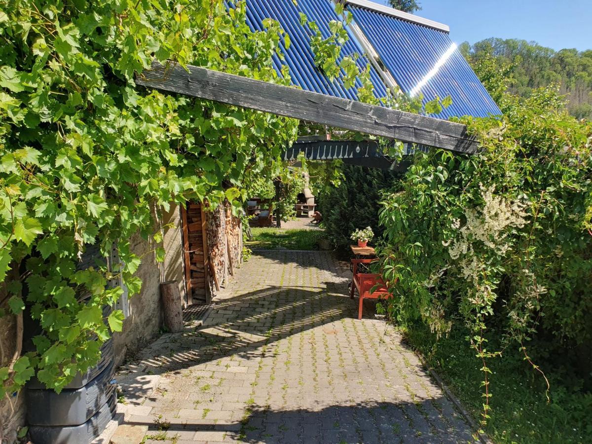 Das Gruene Haus Am Hexenstieg Rubeland Exterior foto