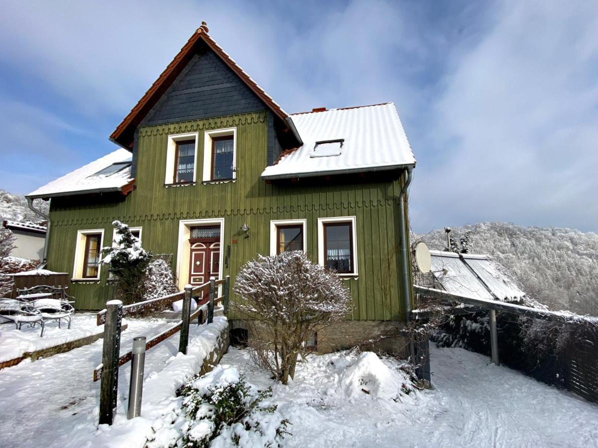 Das Gruene Haus Am Hexenstieg Rubeland Exterior foto