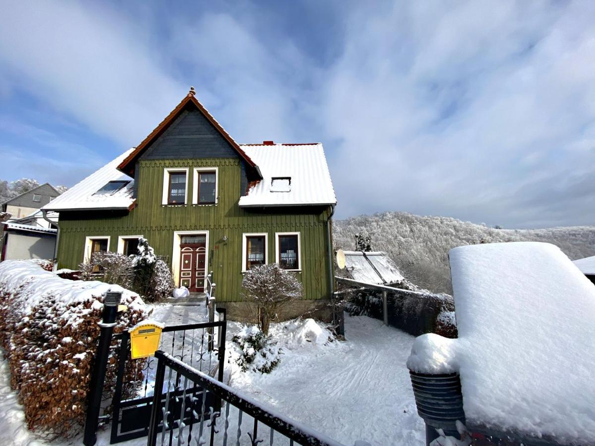 Das Gruene Haus Am Hexenstieg Rubeland Exterior foto