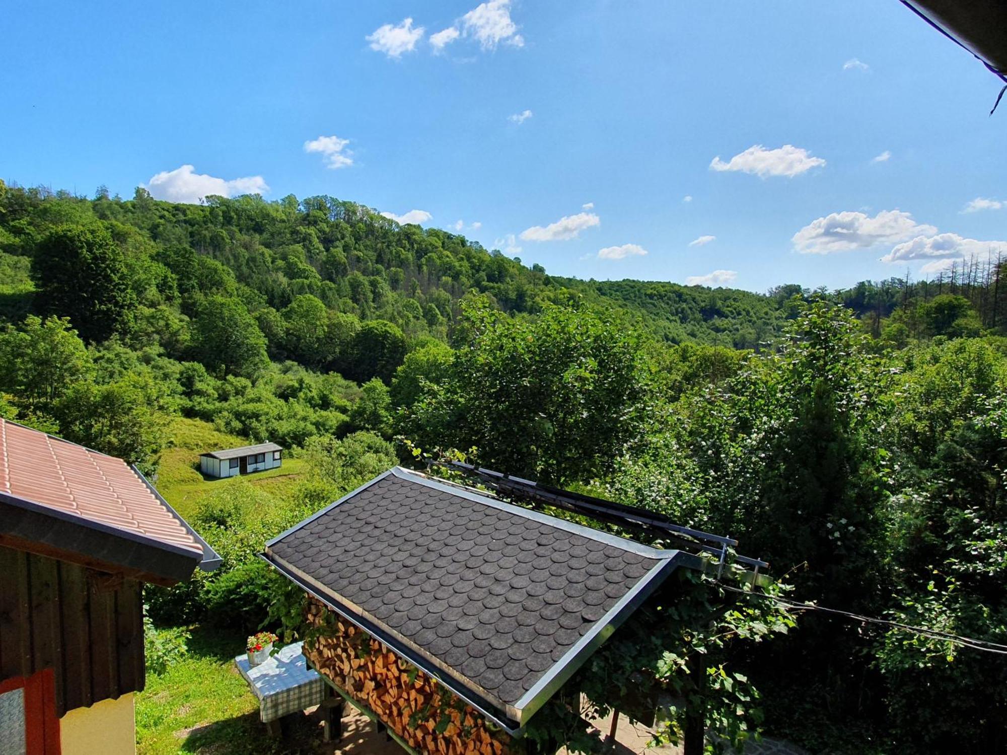 Das Gruene Haus Am Hexenstieg Rubeland Exterior foto